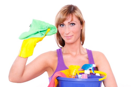 Professional carpet cleaning terms and conditions introduction