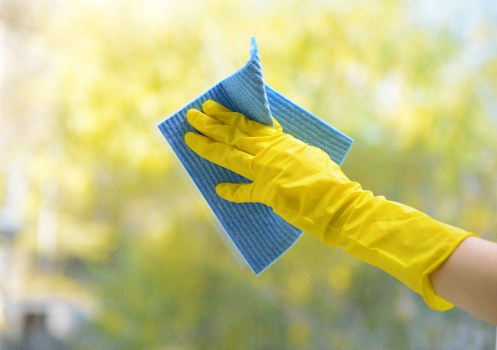 Professional upholstery cleaning in a Kensington living room