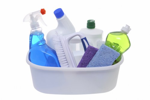 Carpet cleaning team preparing equipment safely