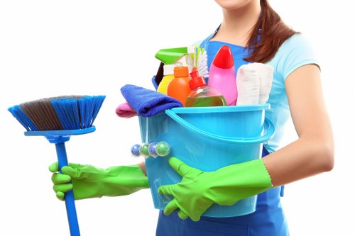 Stain removal and upholstery care for a sofa in Kensington