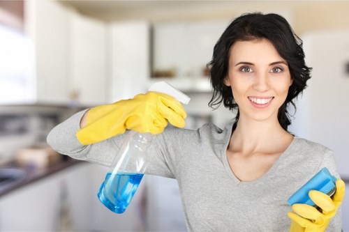 Fresh and hygienic living room after pet odour removal