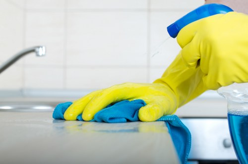 Steam cleaning a mattress in Kensington home