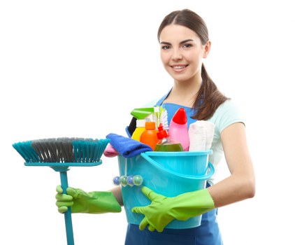 Deep cleaning a carpet in a Kensington home