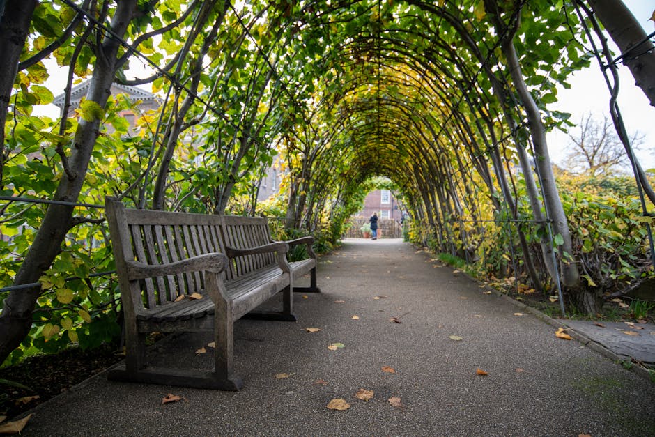 A pathway covered by a curved archway of green and yellow foliage, with a weathered wooden bench positioned on the left side of the paved walkway. The arch is supported by metal frames intertwined wit